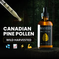Canadian Pine Pollen