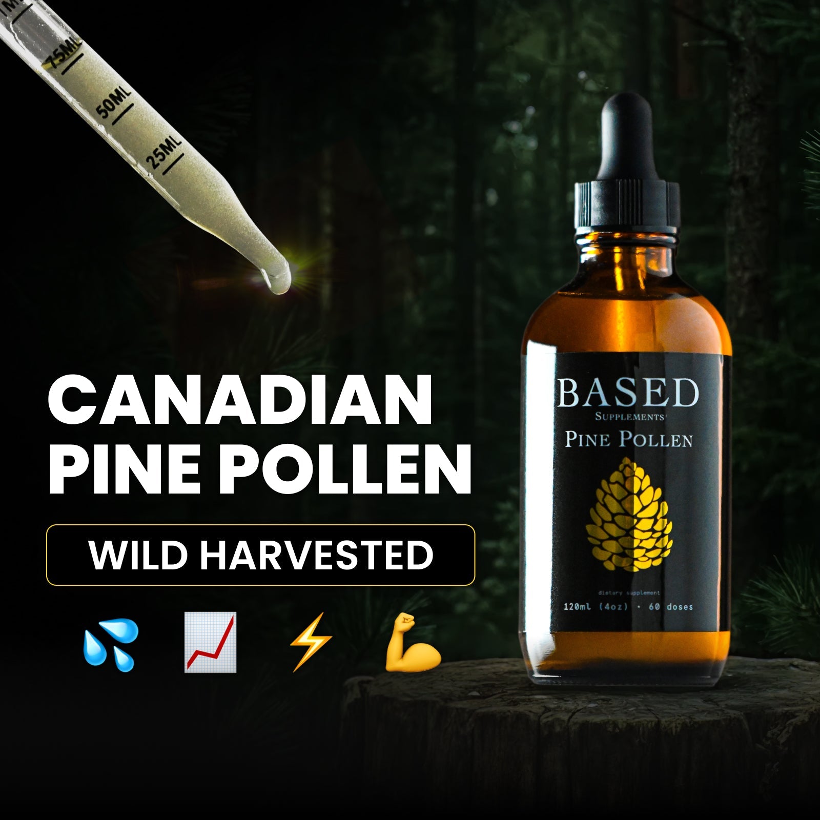 Canadian Pine Pollen